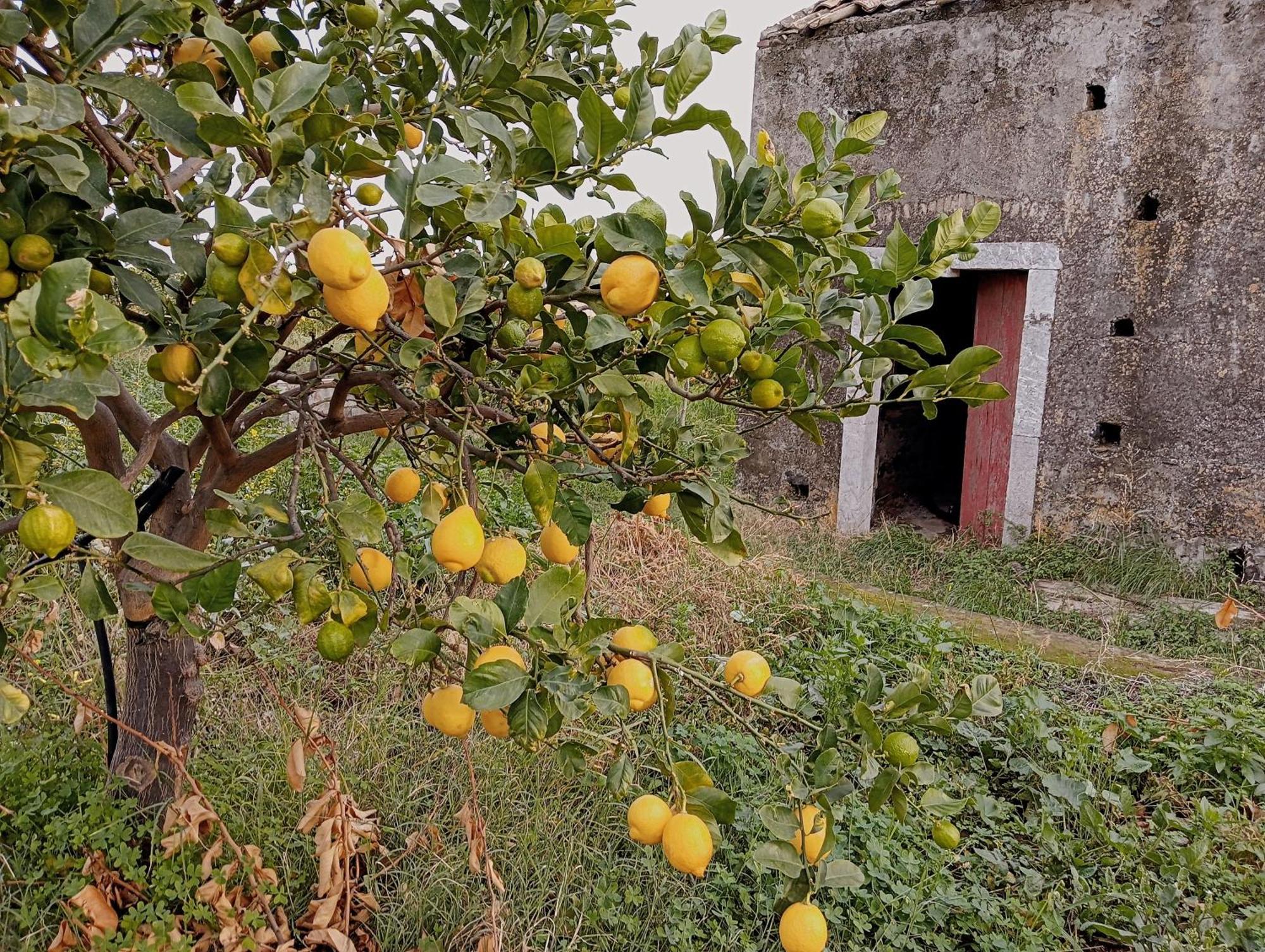 Villa Laura Apartment Giardini Naxos Bagian luar foto